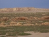 Crescent Bench