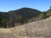 Green Mountain