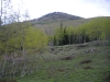 Bald Mountain