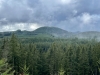 "Tokul Hills South"