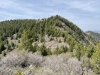 8752