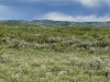 Mexican Ridge, North