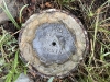 Bruin Point