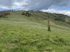 East Mountain