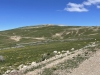 Horseshoe Mountain