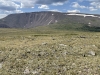 North Burro Peak