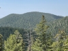 Signal Peak