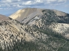 Gold Mountain