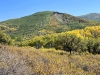 Two Peak