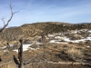 Pinyon Ridge, South