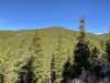 Royal Mountain