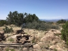 Juniper Hill