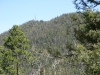 Bald Mountain