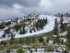 Deer Mountain