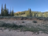 Buck Knoll
