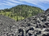 Miller Knoll