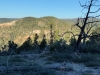 Mammoth Ridge, West