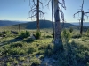 Mammoth Ridge