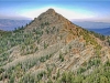 Hualapai Peak