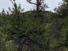 Tungsten Mountain