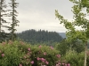 Skinner Butte