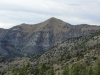 Gray Head Peak