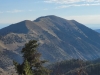Gray Head Benchmark