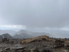 Blanca Peak
