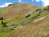 Wander Ridge