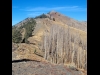 Dollarhide Mountain