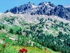 Goat Rocks