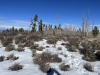 Curtis Ridge
