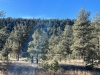 Blue Mountain