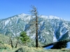Pine Mountain