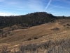 Winter Hills, South