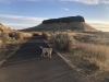 Hermiston Butte