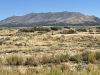 Black Pine Peak