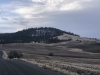 Ball Butte