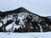 Eagle Roost