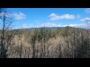Reade Hill