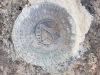 Saritas Benchmark