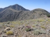 Telescope Peak