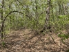Honwee Mountain