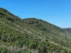 "Raiders Ridge"