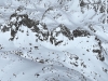 "Dinosaur Crag #5"