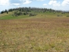 Willow Mountain