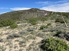 Gray Hills