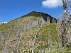 Robinson Mountain