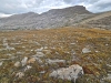 Milky Ridge, South
