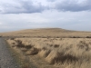 Ward Butte